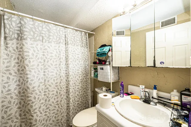 a bathroom with a sink a toilet and shower curtain