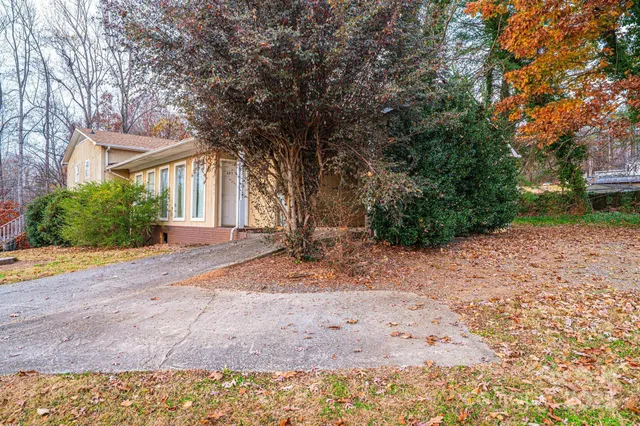 a view of a yard with plants and trees beside of it