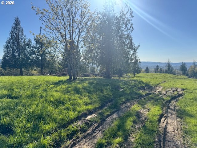 Grimm Road Kelso, WA 98626 - Photo 6 of 10