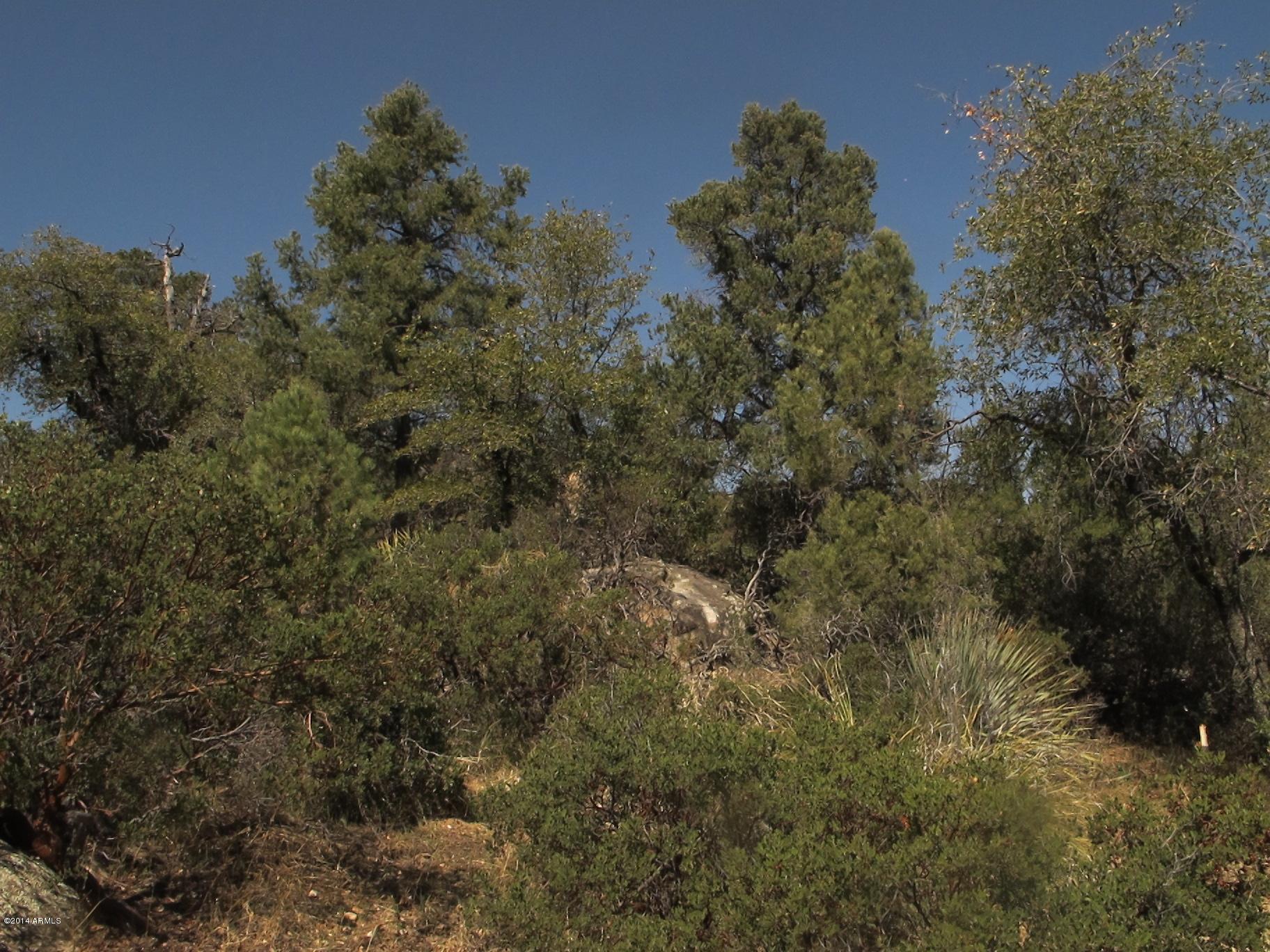 52975 East Harper Road Miami, AZ 85539 - Photo 8 of 31 a view of a forest with a tree in the background