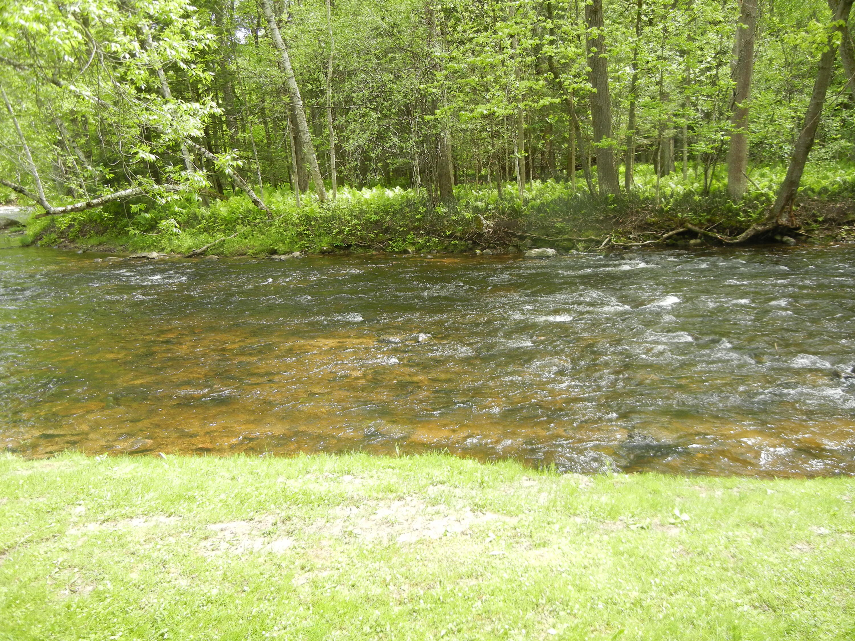 47 Salmon River Road Plattsburgh, NY 12901 - Photo 5 of 16 Gallery Image 5