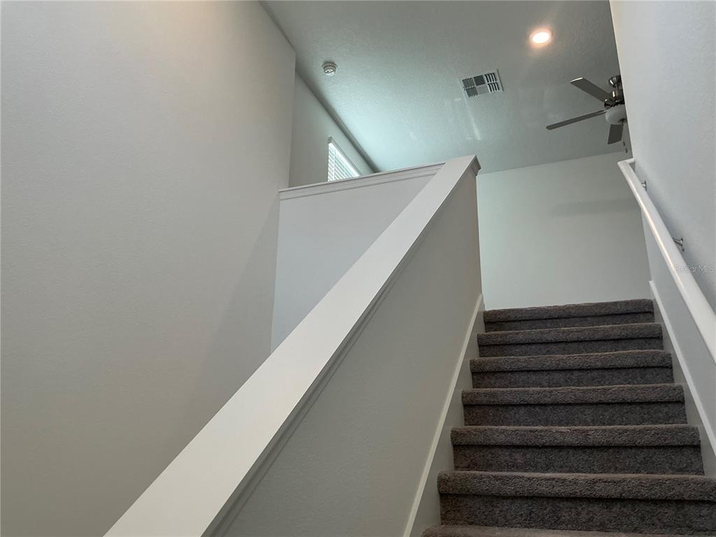 113 Rose Bud Ln Spring Hill Spring Hill, FL 34609 - Photo 8 of 21