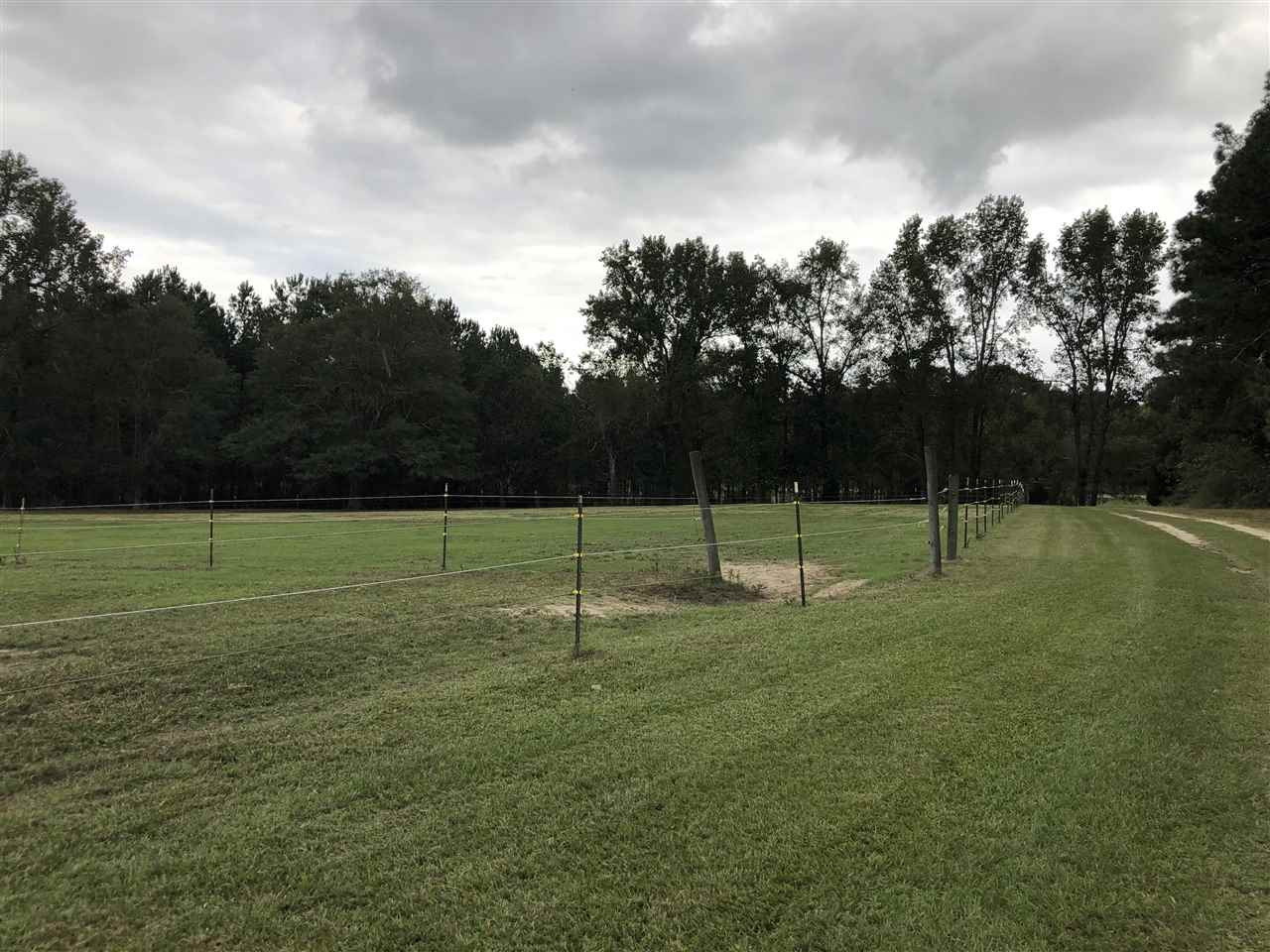 802 Banner Elk Road Benson, NC 27504 - Photo 19 of 29 Photo 19