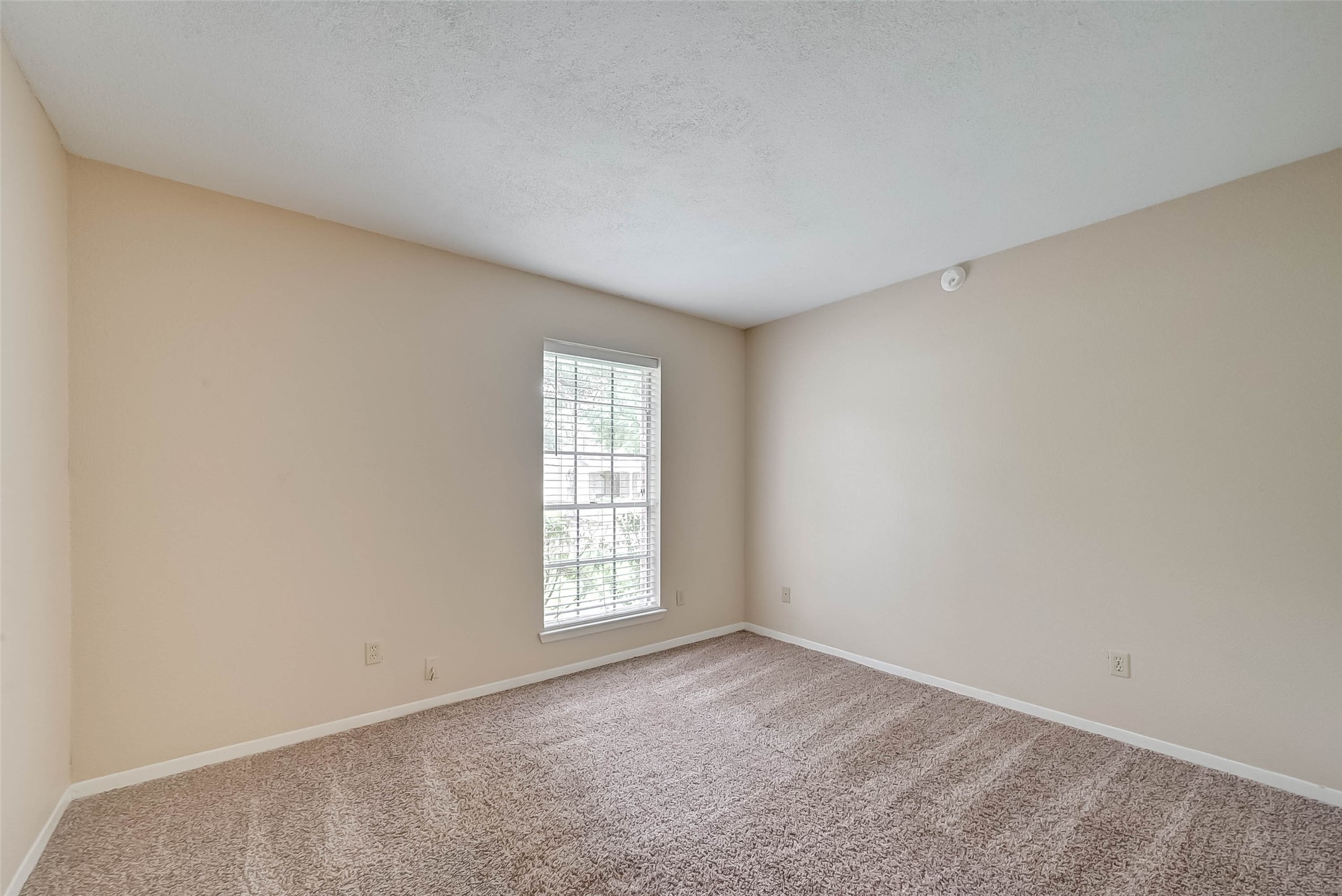 4503 Ranger Run Sugar Land, TX 77479 - Photo 15 of 25