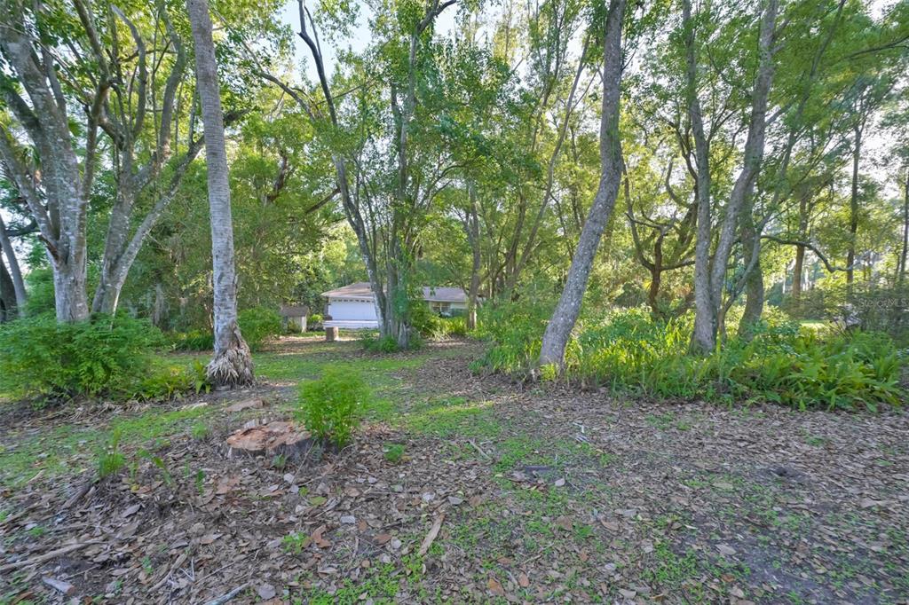 36625 Lake Pasadena Road Dade City, FL 33525 - Photo 37 of 55
