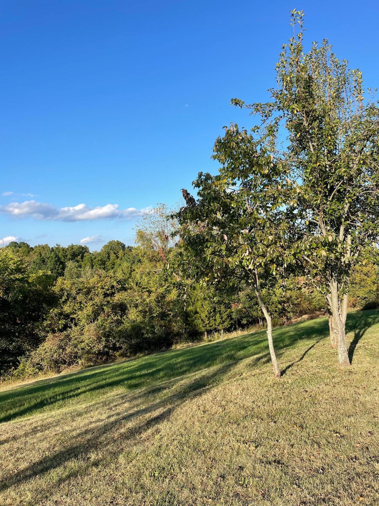 60 Castle-Knoll Road Williamstown, KY 41097 - Photo 20 of 24 Gallery Image 20