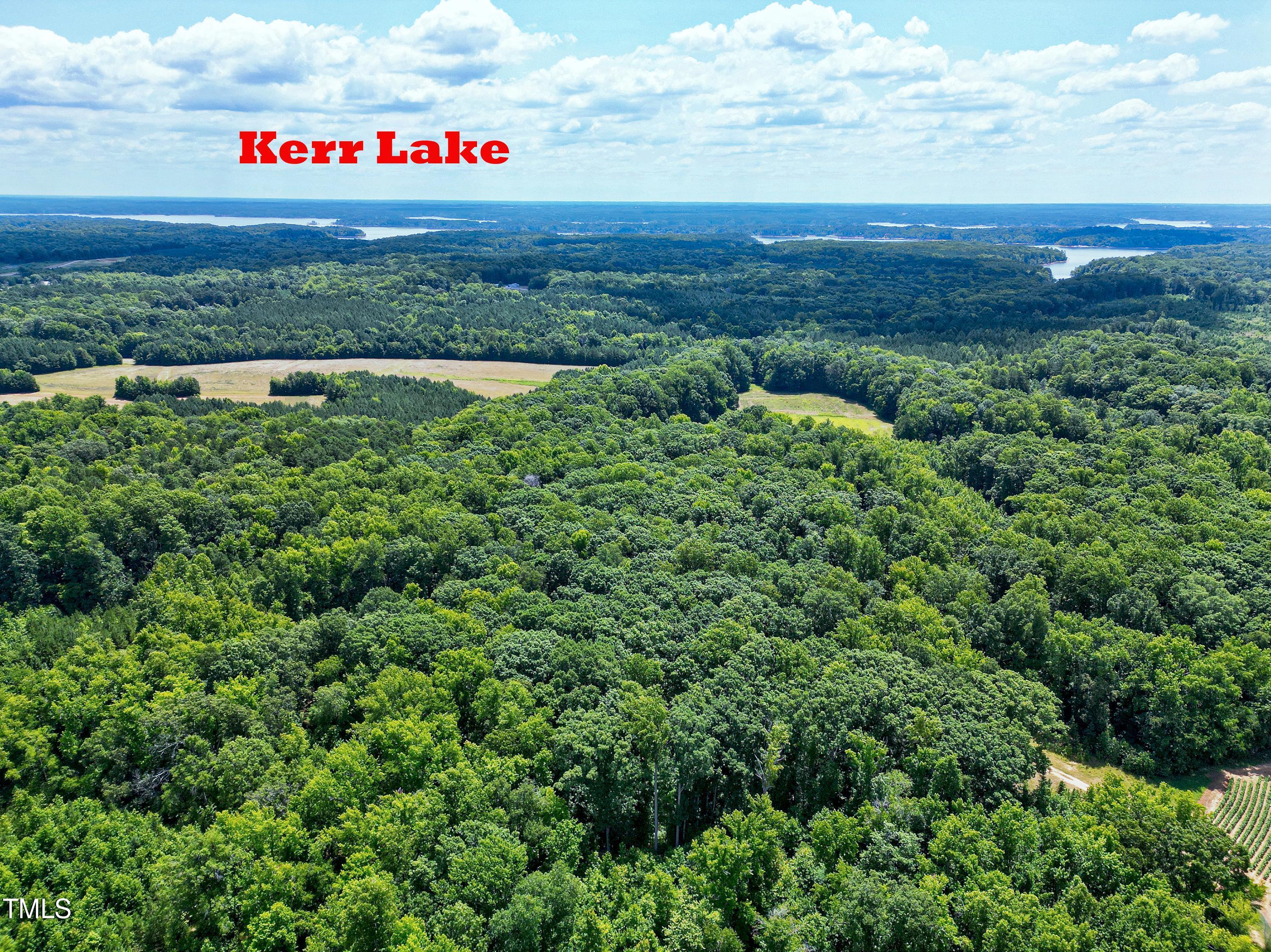 12300 Highway 39 Henderson, NC 27537 - Photo 33 of 60 Aerial-8