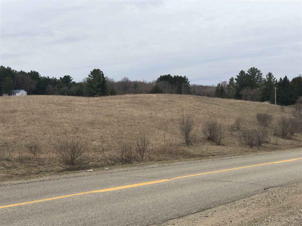 0 South Dow Road West Branch, MI 48661 - Photo 6 of 10