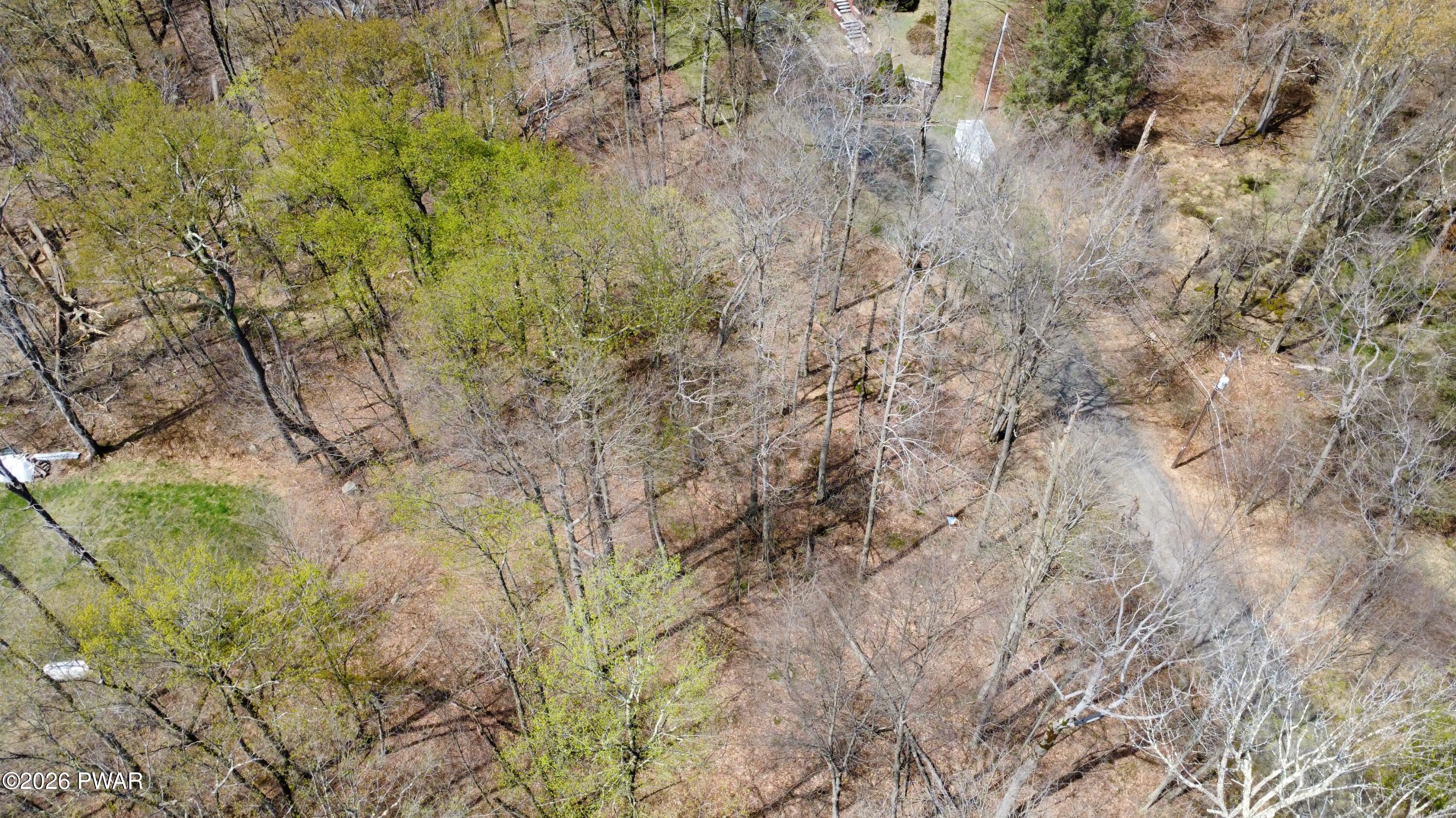 Lot 60 Logger Road Canadensis, PA 18325 - Photo 5 of 9