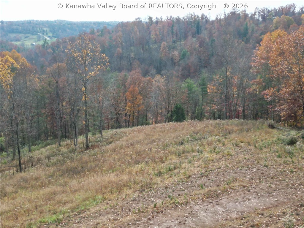 729 Bee Ridge Road Leon, WV 25123 - Photo 18 of 21 Gallery Image 18