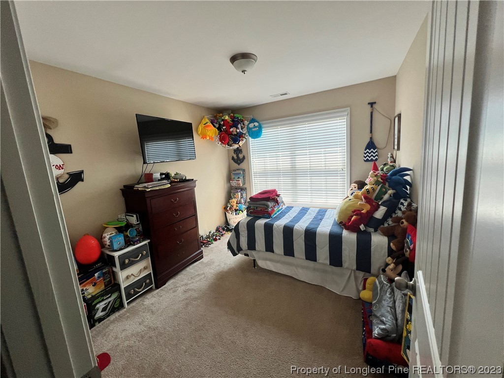 73 Blue Bay Lane Cameron, NC 28326 - Photo 25 of 42 a bedroom with furniture a flat screen tv and a window