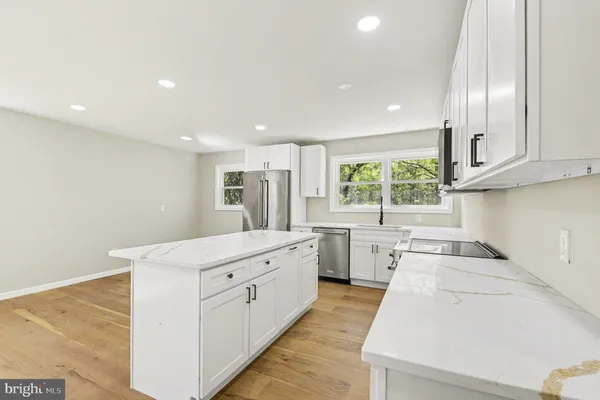 a view of a yard with plants and large trees