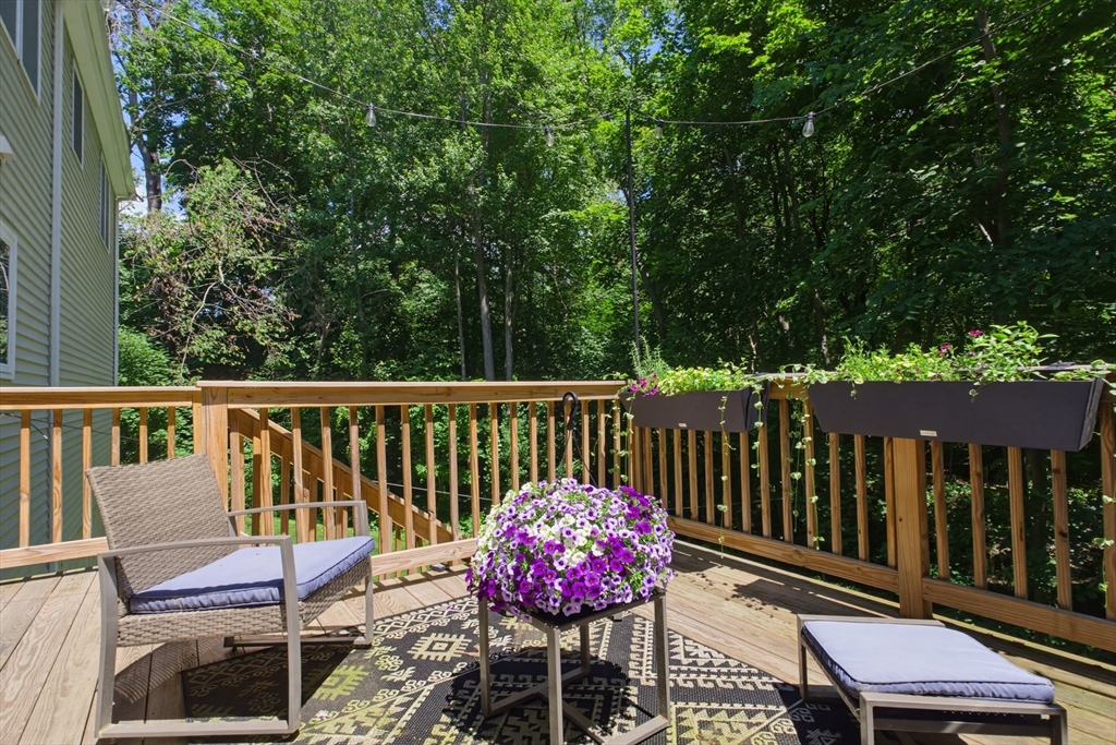 3 Catacunemaug Road Shirley, MA 01464 - Photo 29 of 33