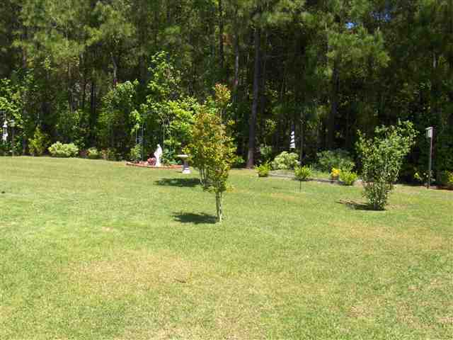 585 Ambrosia Loop Myrtle Beach, SC 29579 - Photo 14 of 15 Gallery Image 14