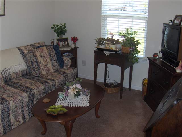 585 Ambrosia Loop Myrtle Beach, SC 29579 - Photo 8 of 15 Gallery Image 8