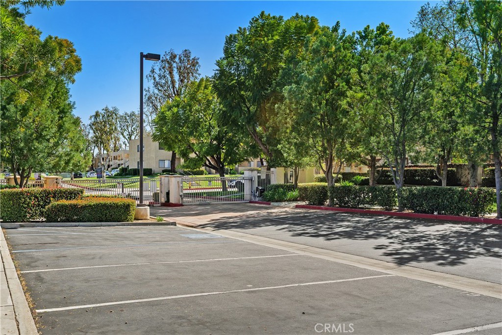 93 Kansas Street, Unit 202 Redlands, CA 92373 - Photo 36 of 40 a view of a yard with palm trees
