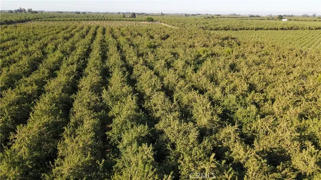 a view of an ocean and a mountain