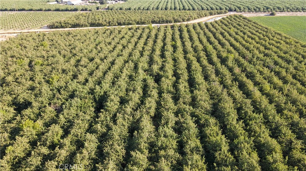 0 Palm Winton, CA 95388 - Photo 2 of 8 a view of a green field