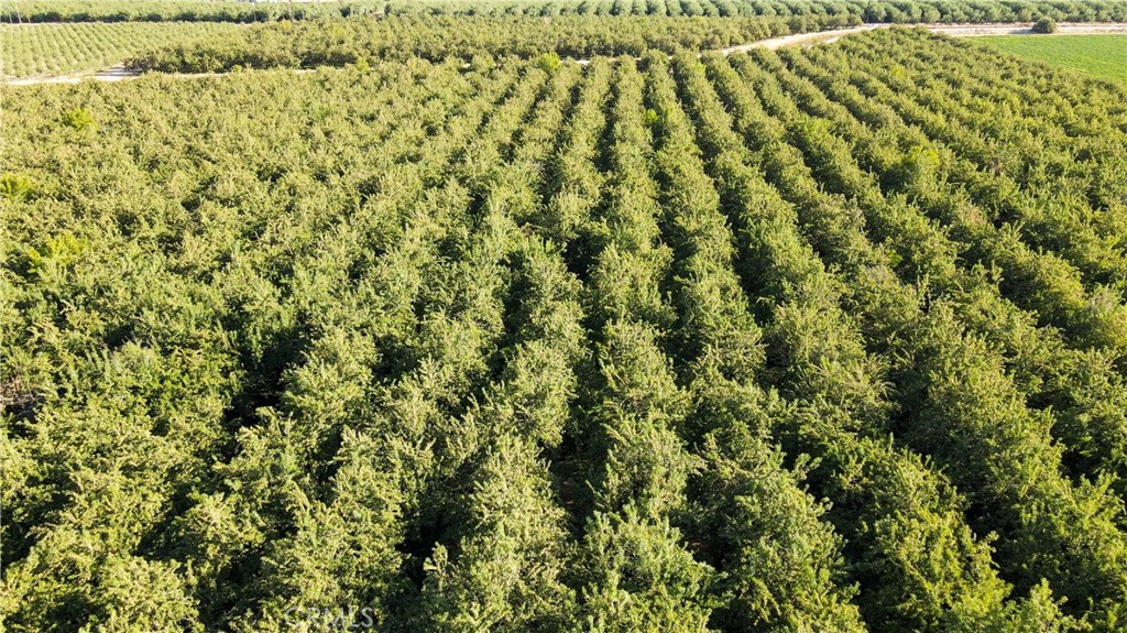 0 Palm Winton, CA 95388 - Photo 3 of 8 a view of a large yard with lots of green space