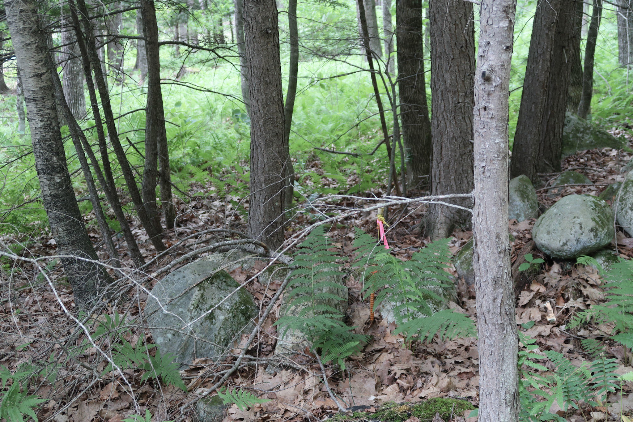 16 Lovejoy Lane Readfield, ME 04355 - Photo 46 of 63
