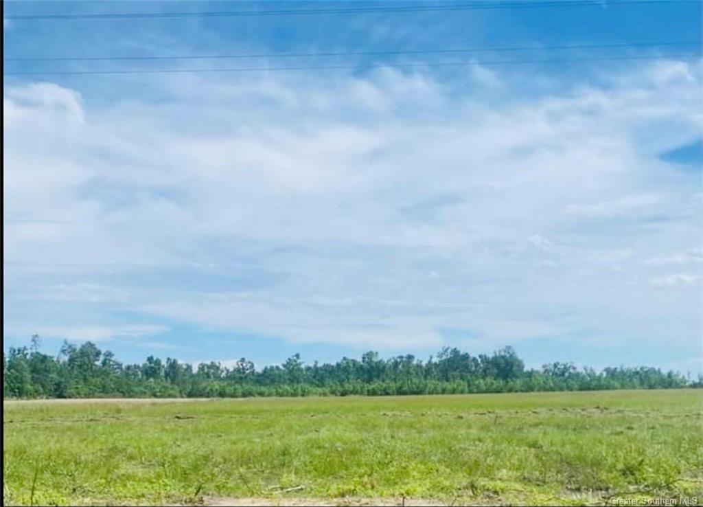 0 Turps Road Ragley, LA 70657 - Photo 6 of 8