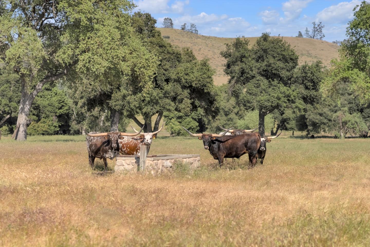 770 Limekiln Road Hollister, CA 95023 - Photo 24 of 32