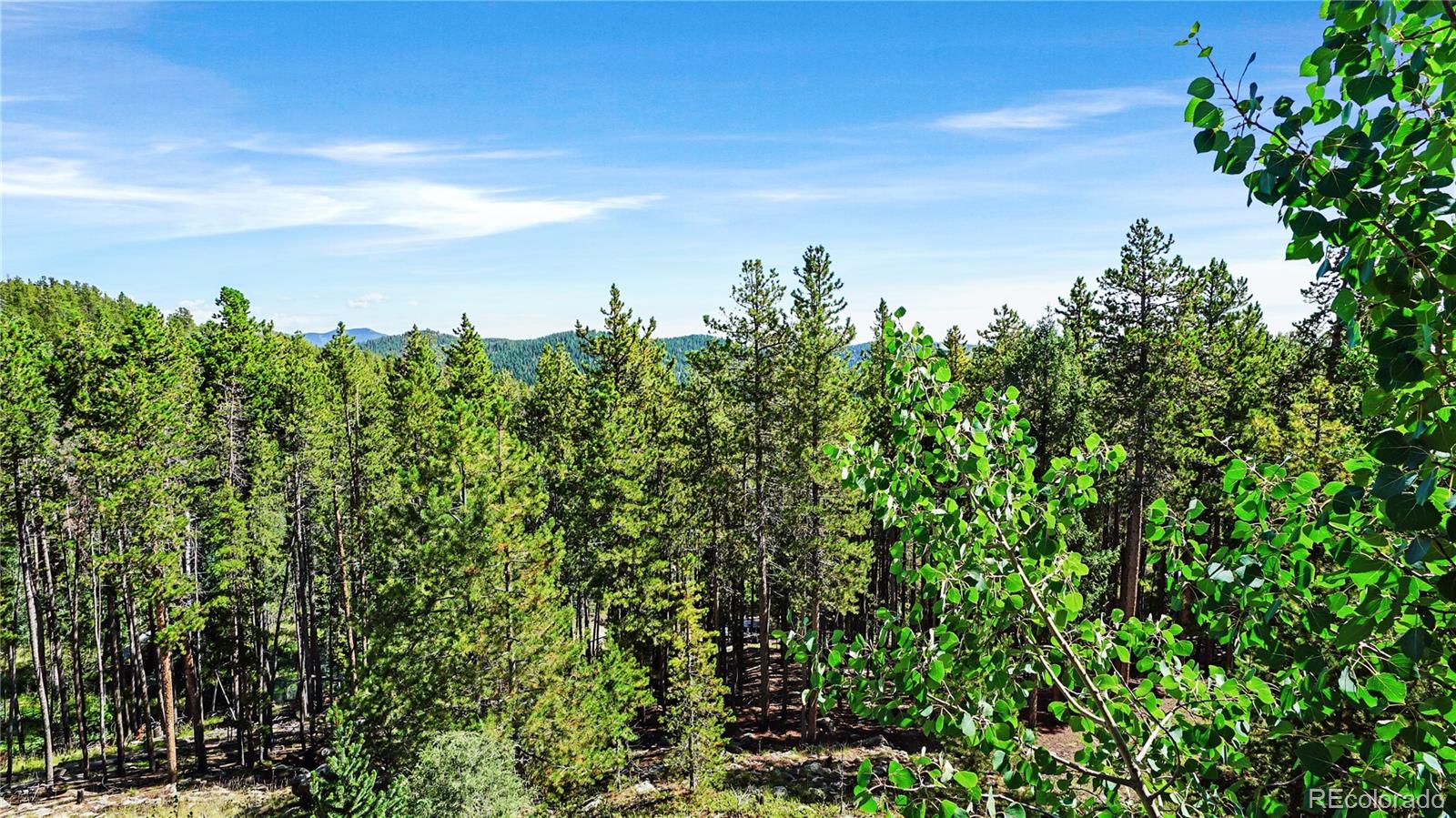 224 Brook Road Evergreen, CO 80439 - Photo 2 of 13 Gallery Image 2