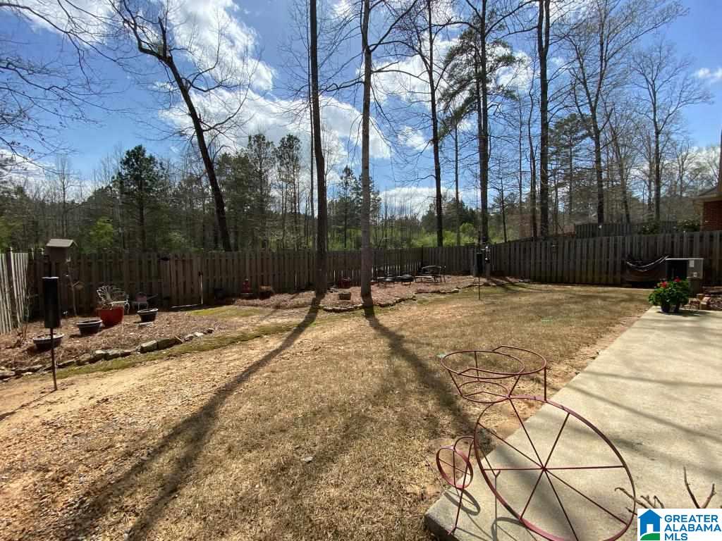 1317 Narrows Point Bend Birmingham, AL 35242 - Photo 23 of 24