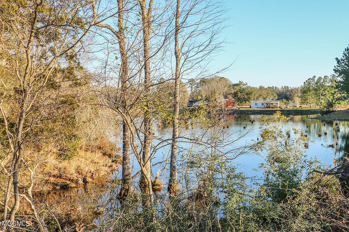 1219 New Hope Church Road Lucedale, MS 39452 - Photo 50 of 56 50
