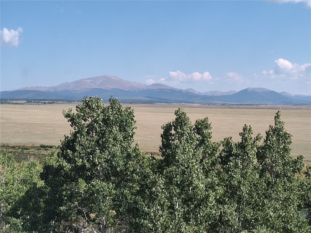 1159 Sheep Ridge Road Fairplay, CO 80440 - Photo 23 of 25 Gallery Image 23
