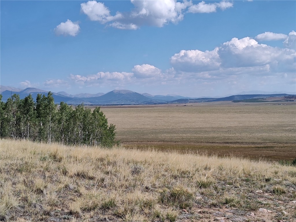1159 Sheep Ridge Road Fairplay, CO 80440 - Photo 24 of 25 Gallery Image 24