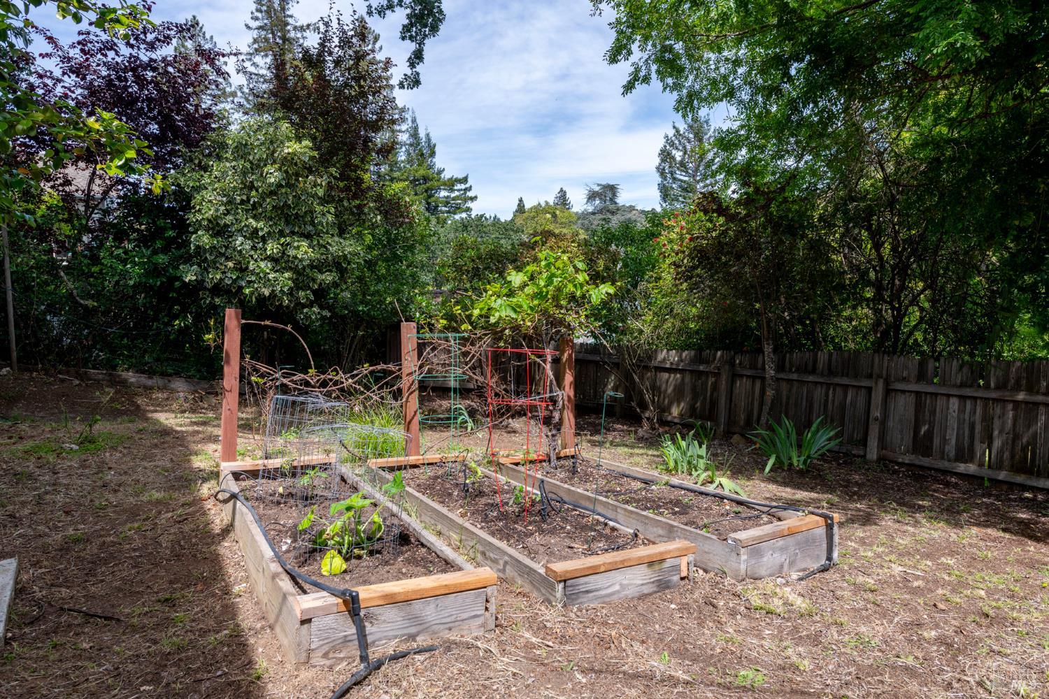 269 Butterfield Road San Anselmo, CA 94960 - Photo 52 of 56