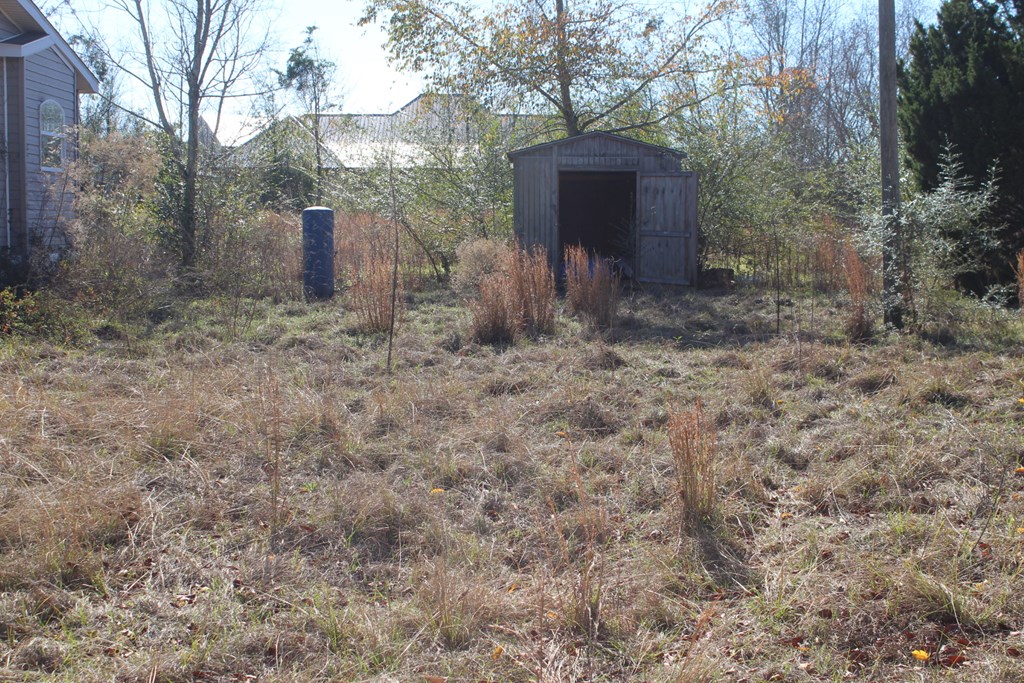 198-230 Bonner Road Newton, AL 36352 - Photo 13 of 15 Gallery Image 13