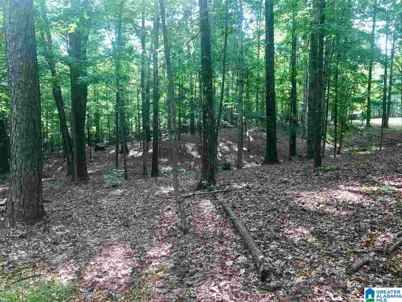 404 Jasmine Hill Road, Unit 404 Pelham, AL 35124 - Photo 2 of 5