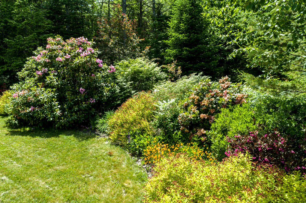 10 Harding Road Brunswick, ME 04011 - Photo 7 of 12 6-Back gardens