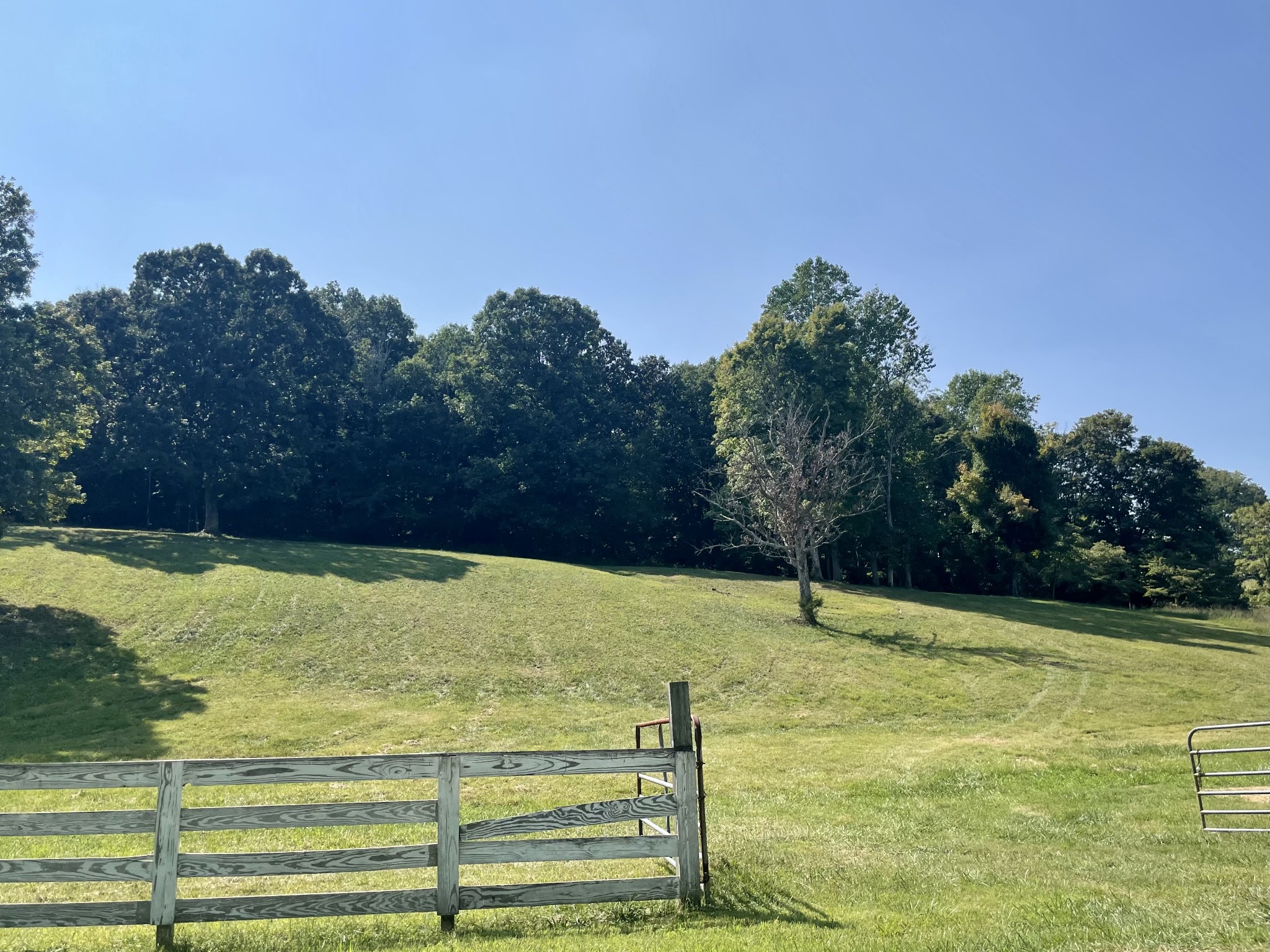 1526 Columbia Road Charlotte, TN 37036 - Photo 13 of 17 a view of a swimming pool with an outdoor space and seating area