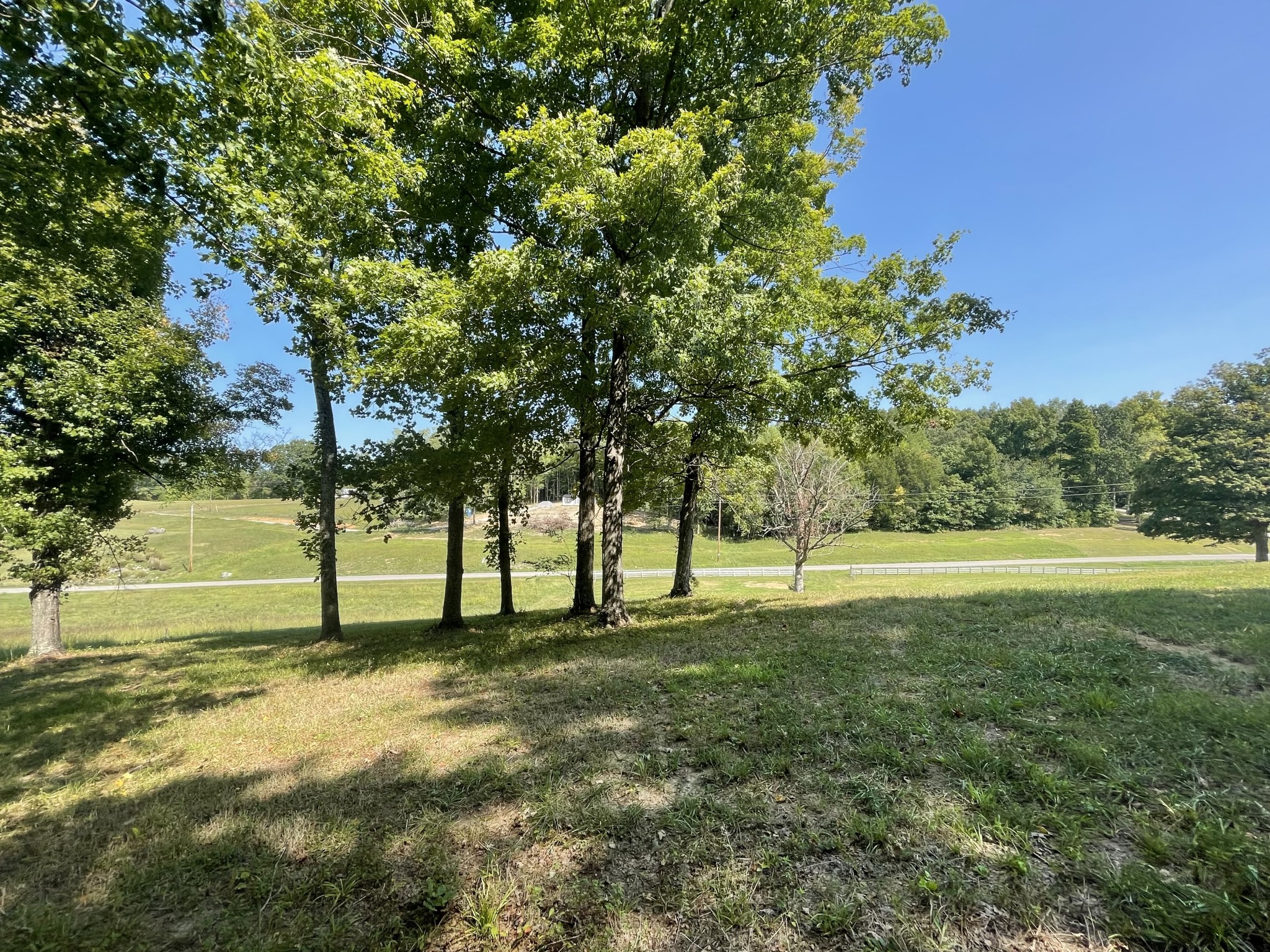 1526 Columbia Road Charlotte, TN 37036 - Photo 15 of 17 a view of yard with tree