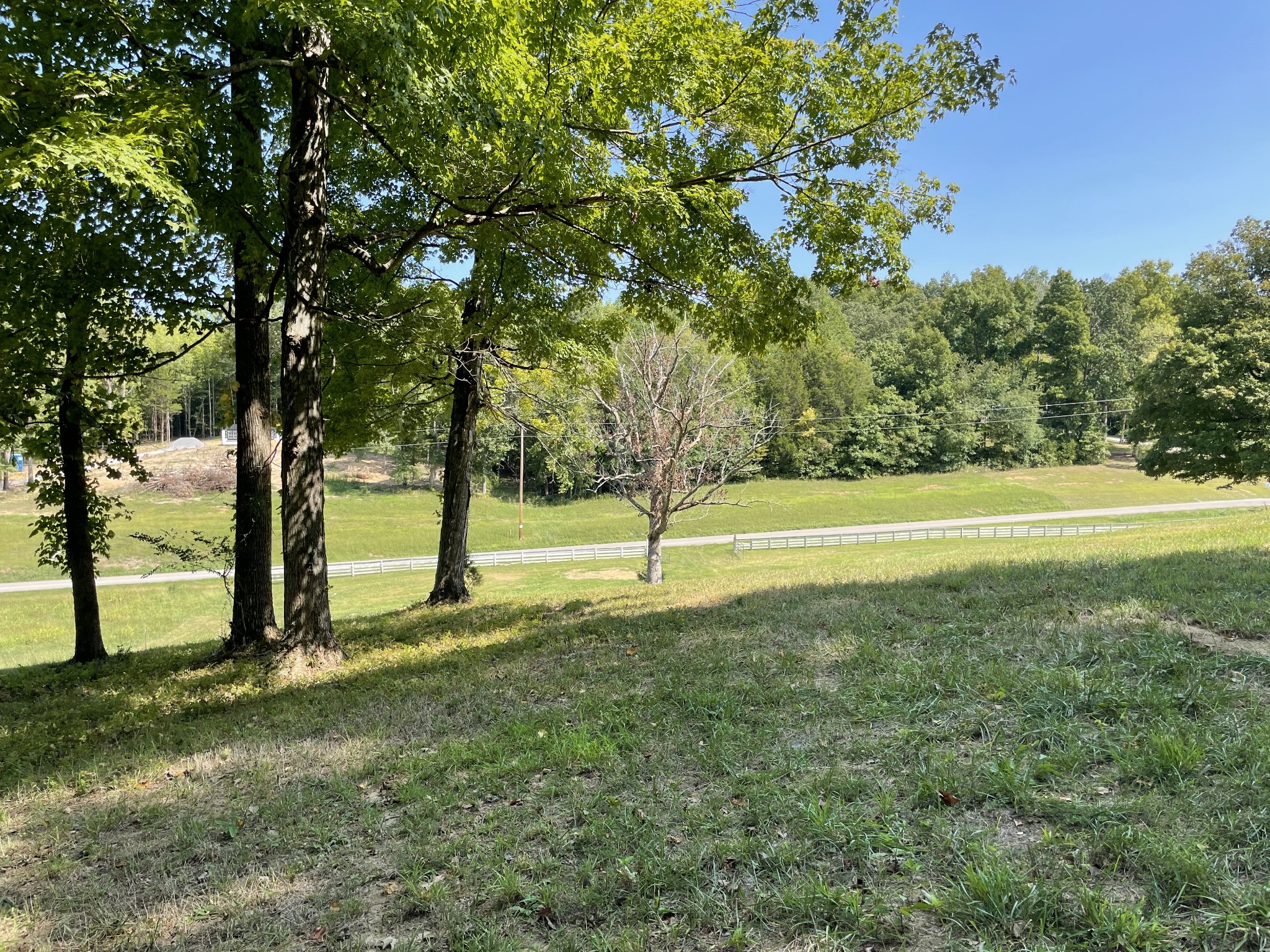 1526 Columbia Road Charlotte, TN 37036 - Photo 16 of 17 a view of a field with trees