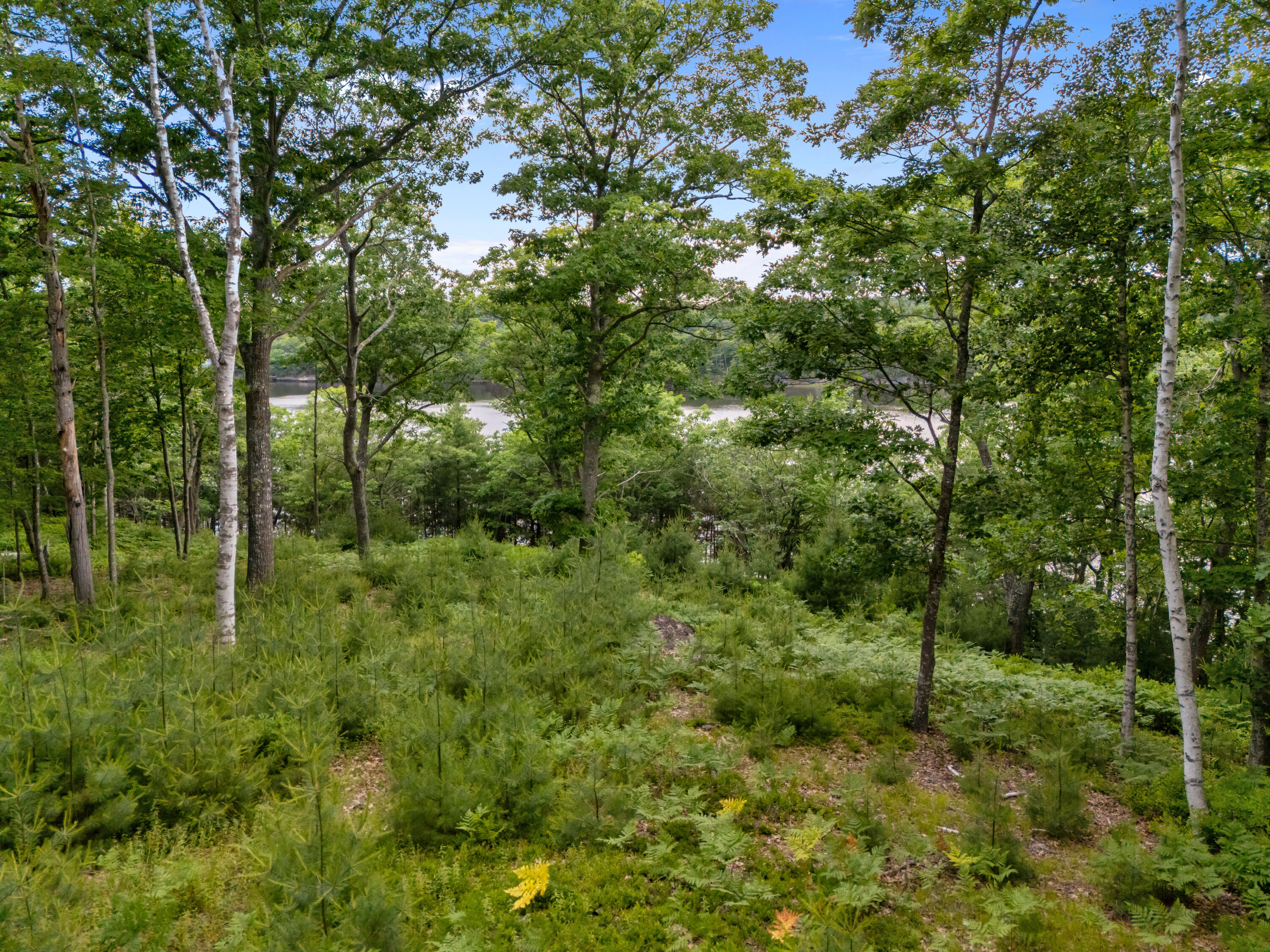 Lot 16 Captain John Parker Road Phippsburg, ME 04562 - Photo 23 of 29 DJI_20260619181154_0392_Dy