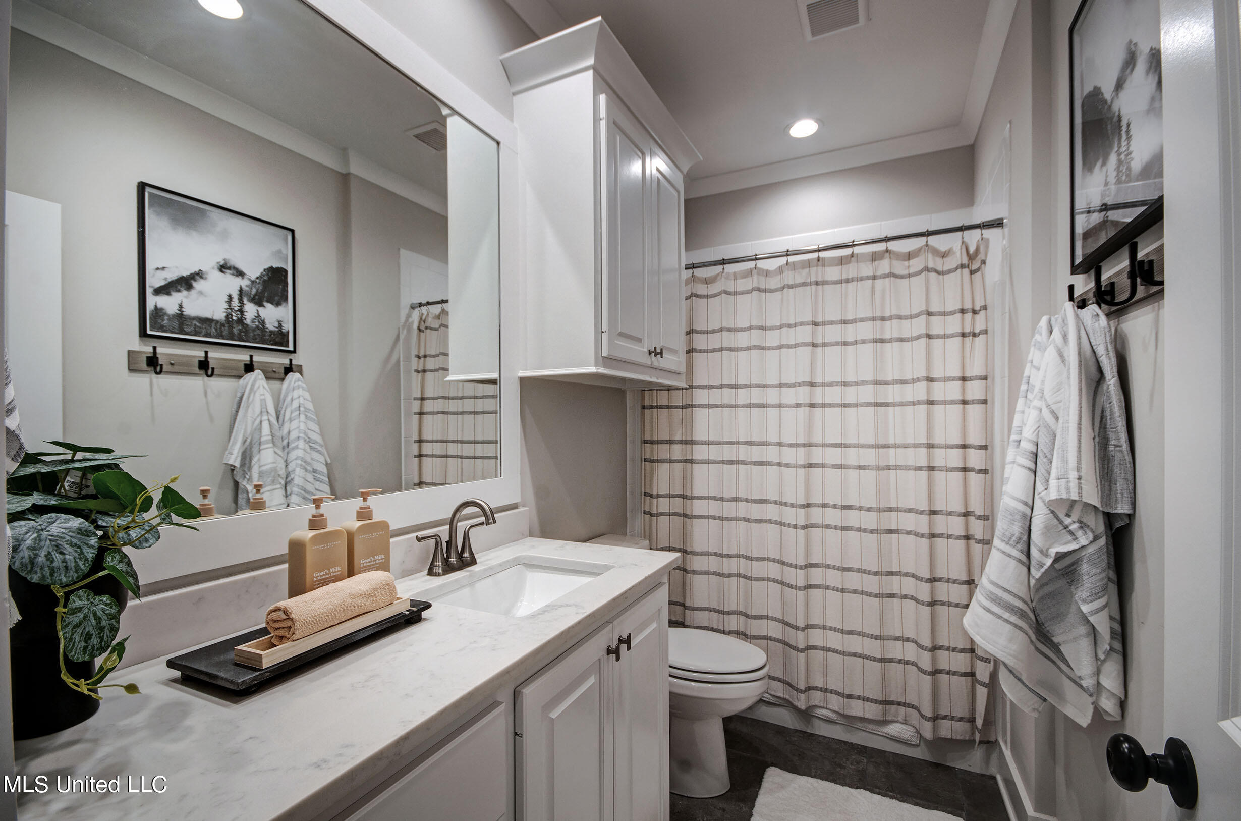 154 Bridgewater Loop Madison, MS 39110 - Photo 21 of 24 imgp6254_5_6