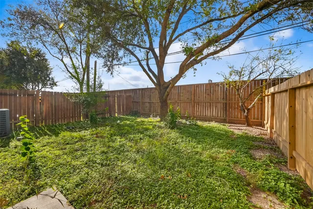 a view of backyard with tree