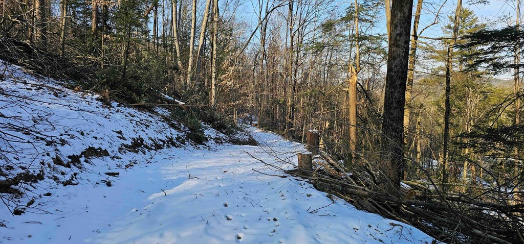0 Jenkins Road Elmira, NY 14901 - Photo 20 of 25