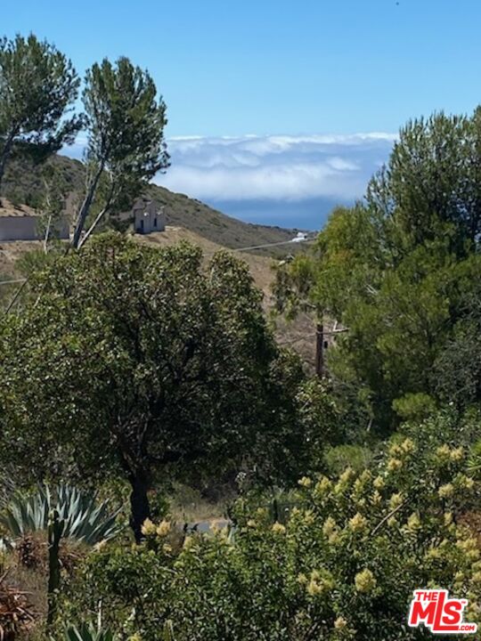 9402 Houston Road Malibu, CA 90265 - Photo 45 of 45 Gallery Image 45