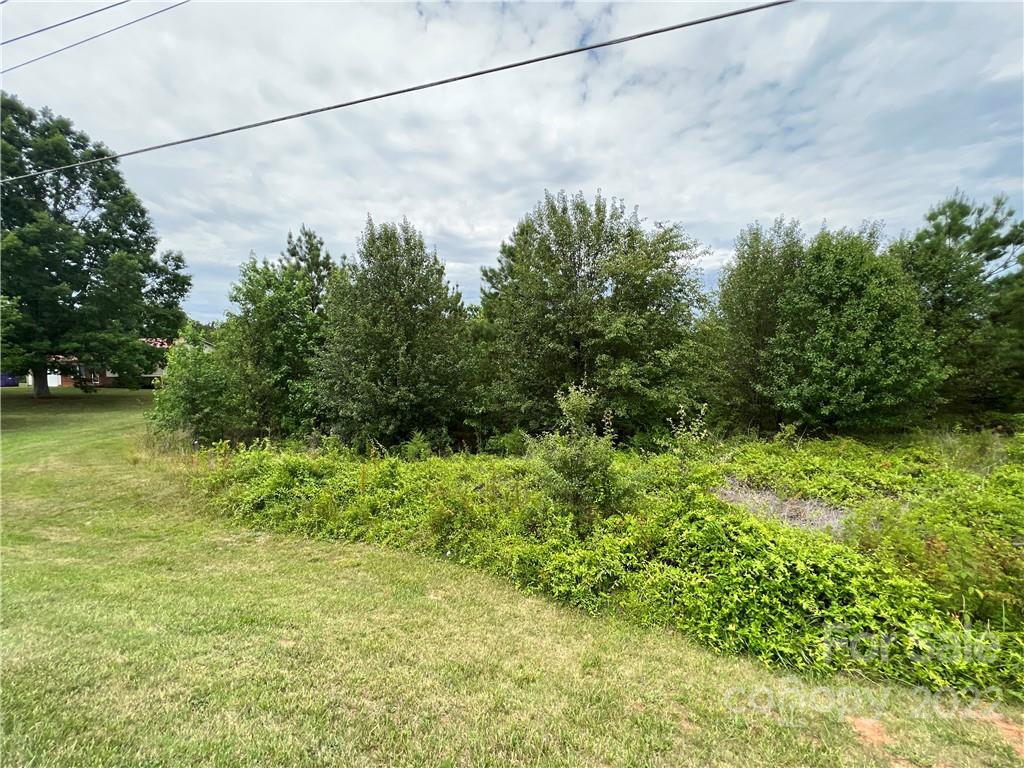 0 Amity Church Road Denver, NC 28037 - Photo 4 of 13 Gallery Image 4