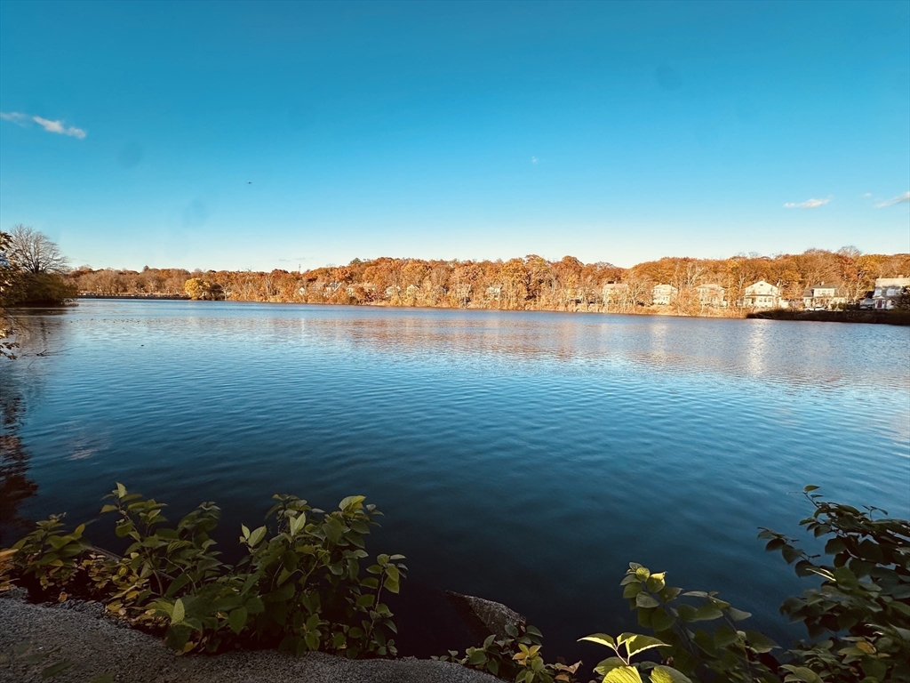 605 Eastern Avenue, Unit 211 Lynn, MA 01902 - Photo 26 of 29 a view of lake with green space