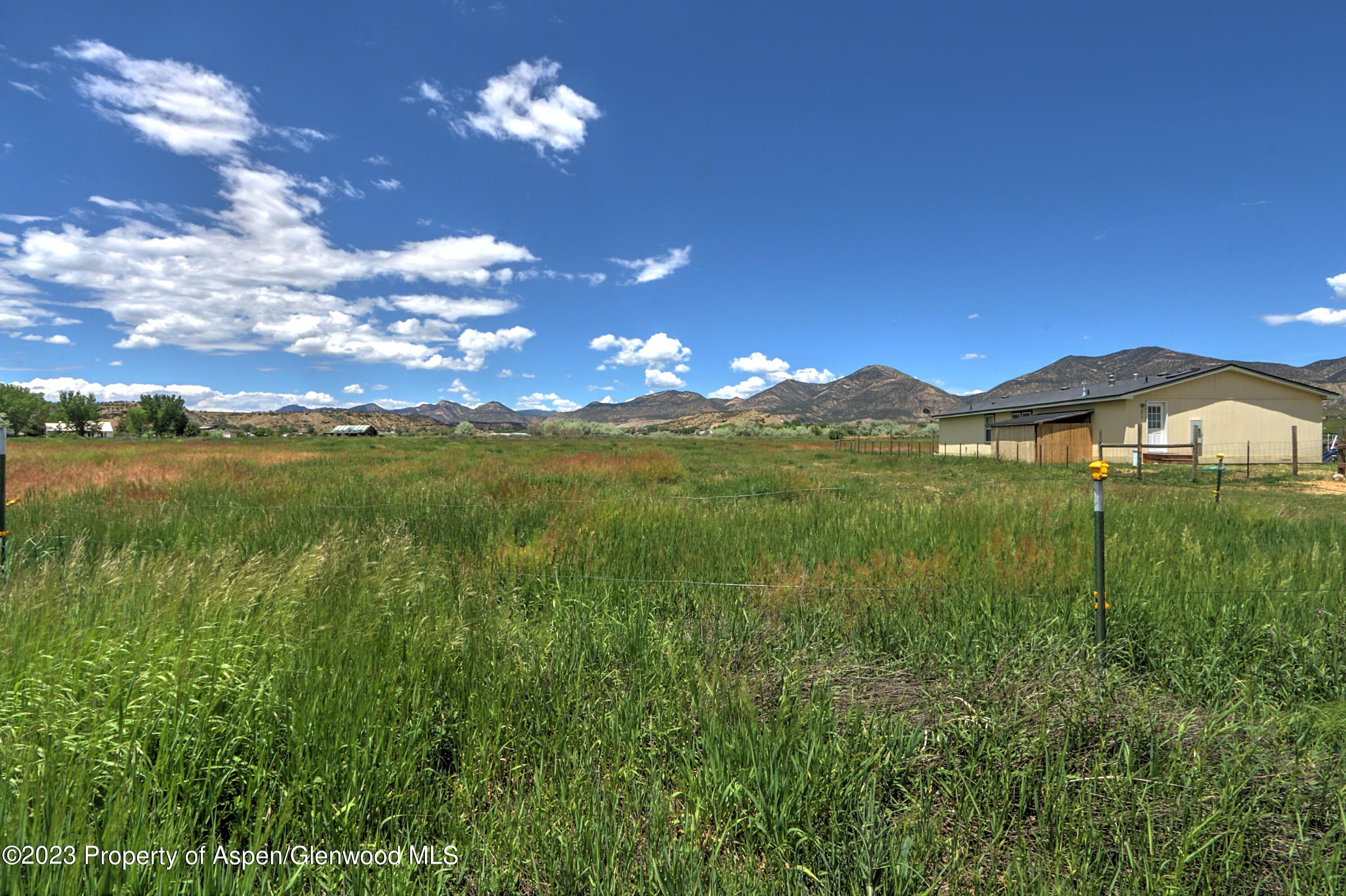 2517 210 County Road Rifle, CO 81650 - Photo 2 of 41 a view of a big yard with lots of green space and mountain view