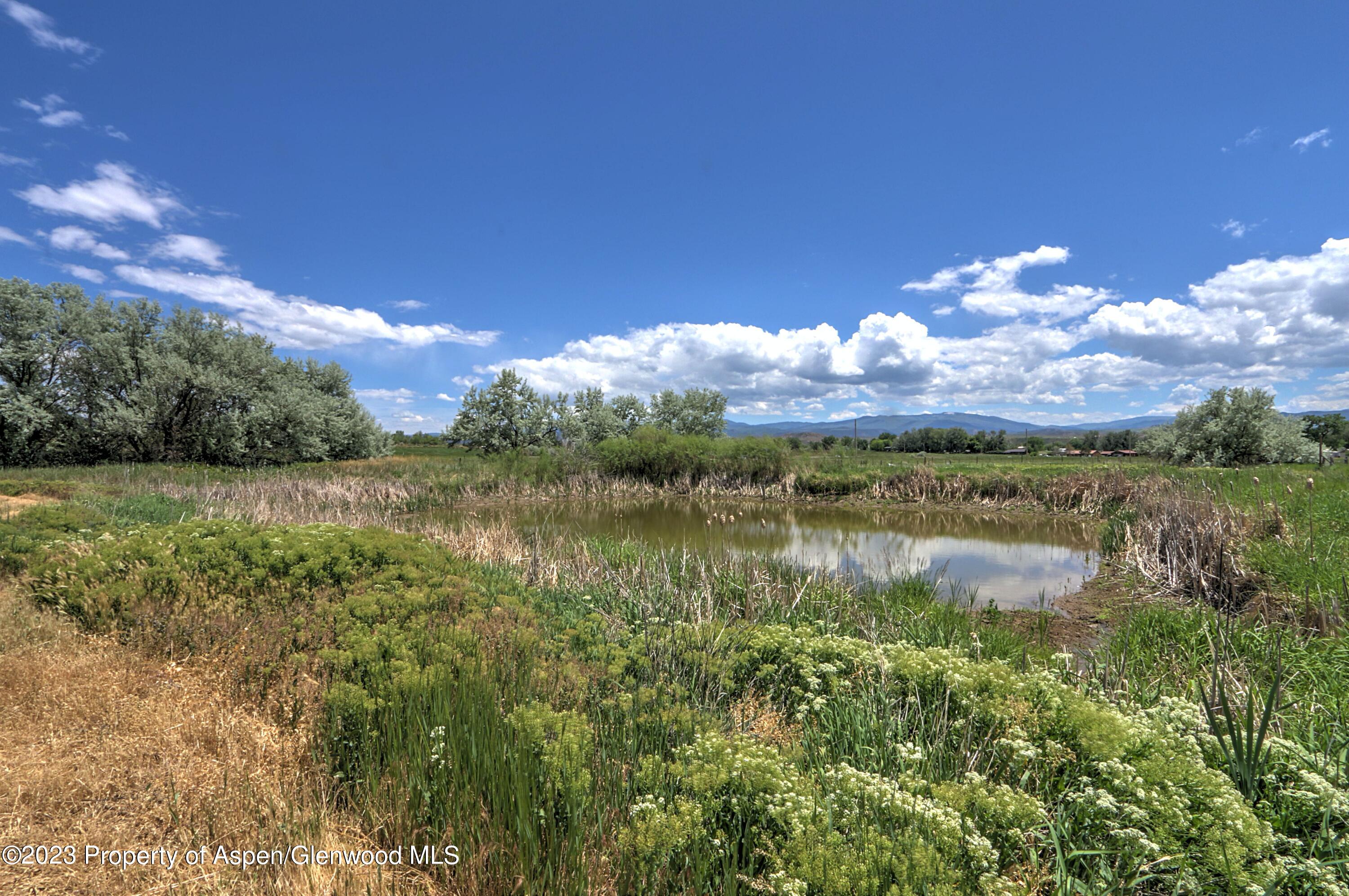 2517 210 County Road Rifle, CO 81650 - Photo 3 of 41 a view of a lake from a yard