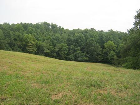 1354 Birdie Road Lawrenceburg, KY 40342 - Photo 44 of 55 Photo 44