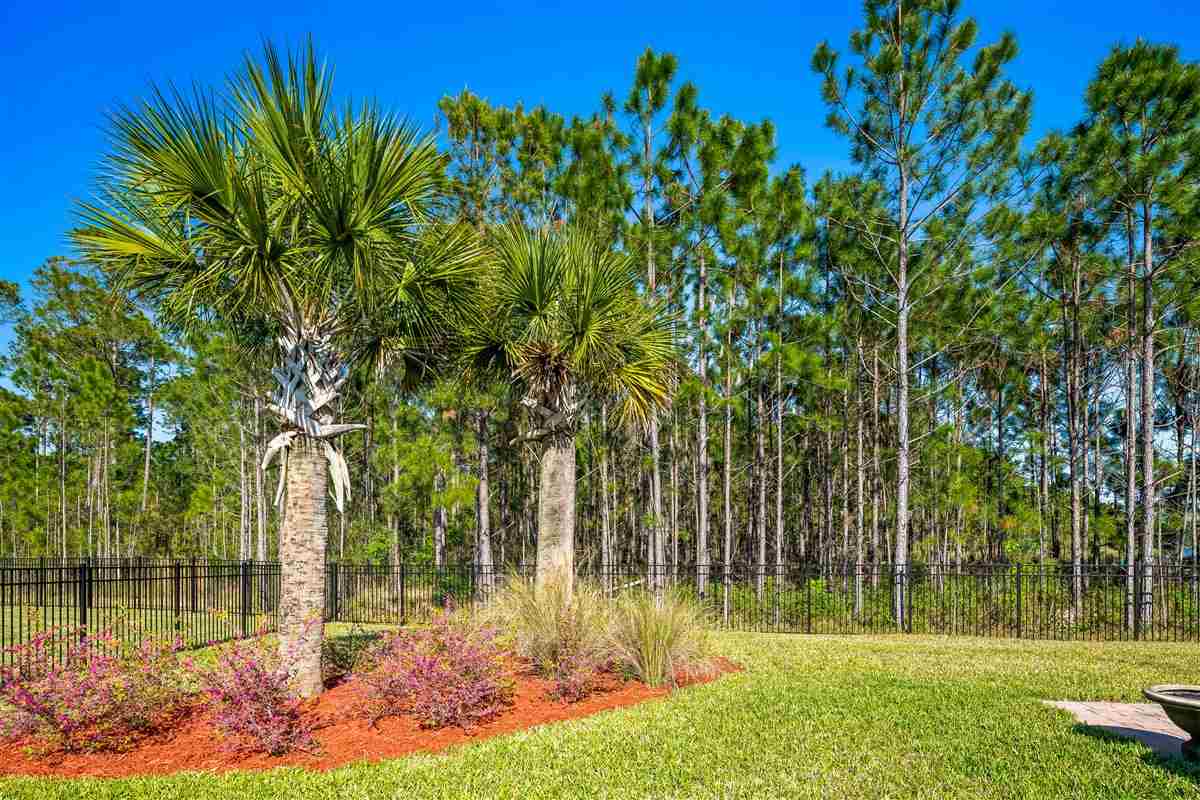 28 Split Oak Road St. Augustine, FL 32092 - Photo 39 of 42 Gallery Image 39
