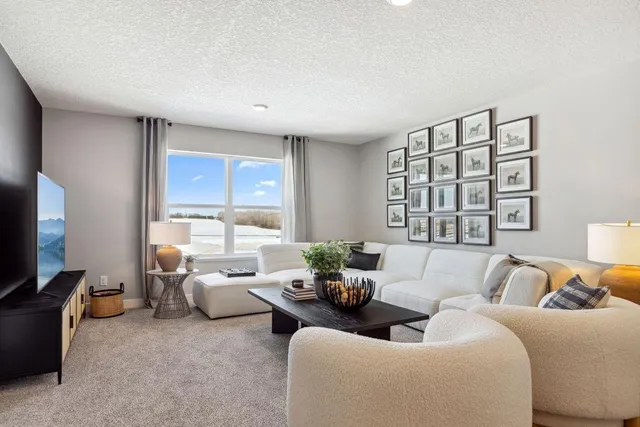 $705,000 | 6193 Jensen Alcove South Cottage Grove, Cottage Grove, MN 55016